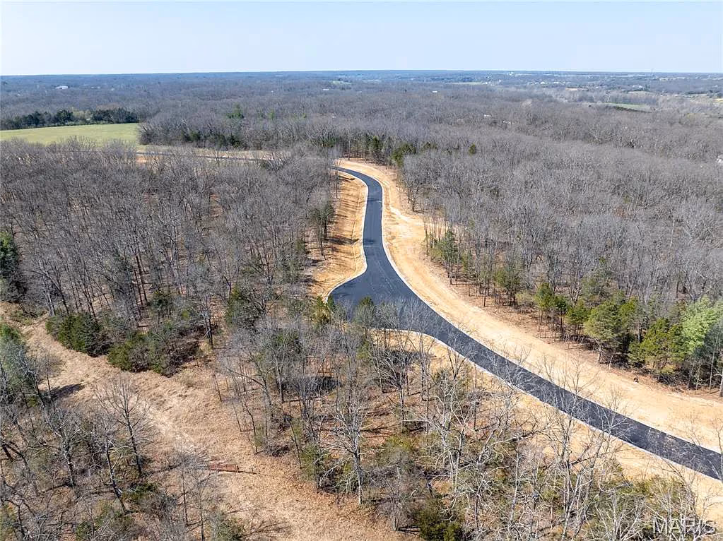 Fresh asphalt drive cutting through wooded terrain