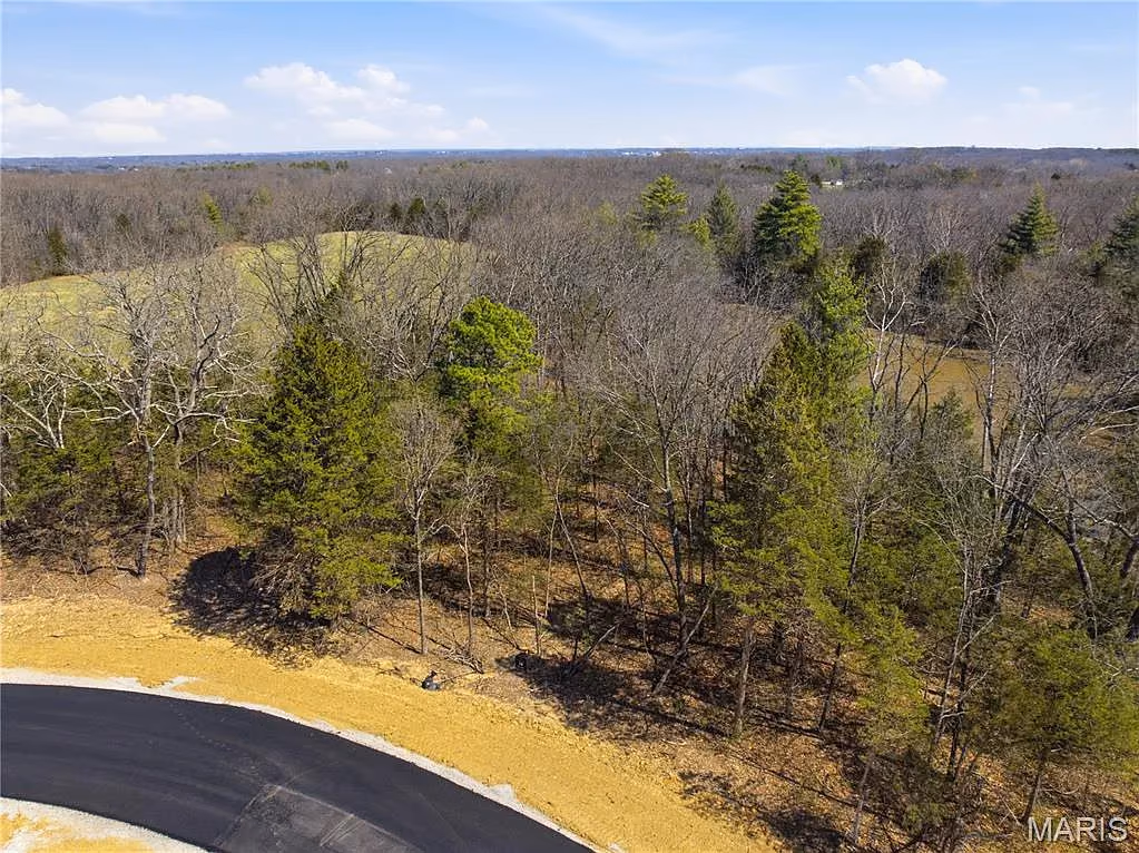 Stand of pines on a wooded homesite beside the new road