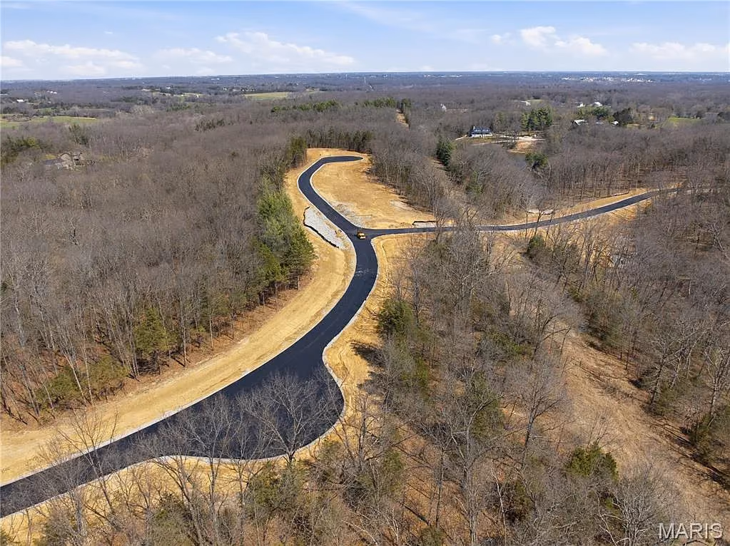 New asphalt road winding through mature hardwood forest