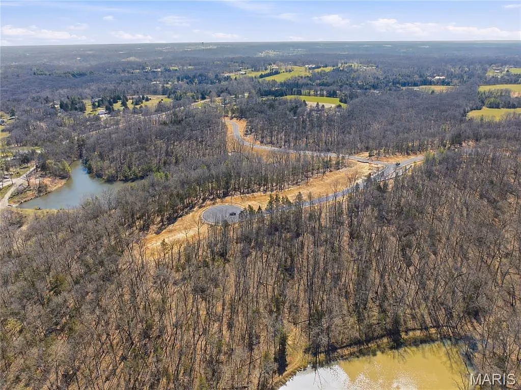 Wooded homesites around a private lake with farmland on the horizon