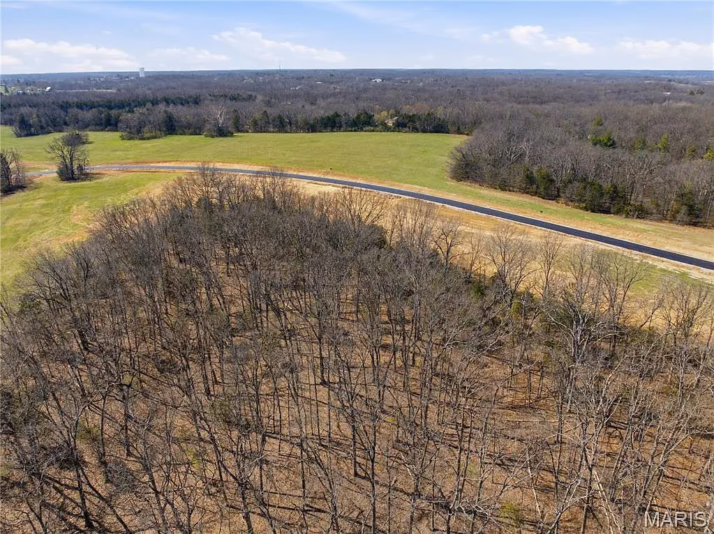 Tree canopy giving way to open pasture and the horizon